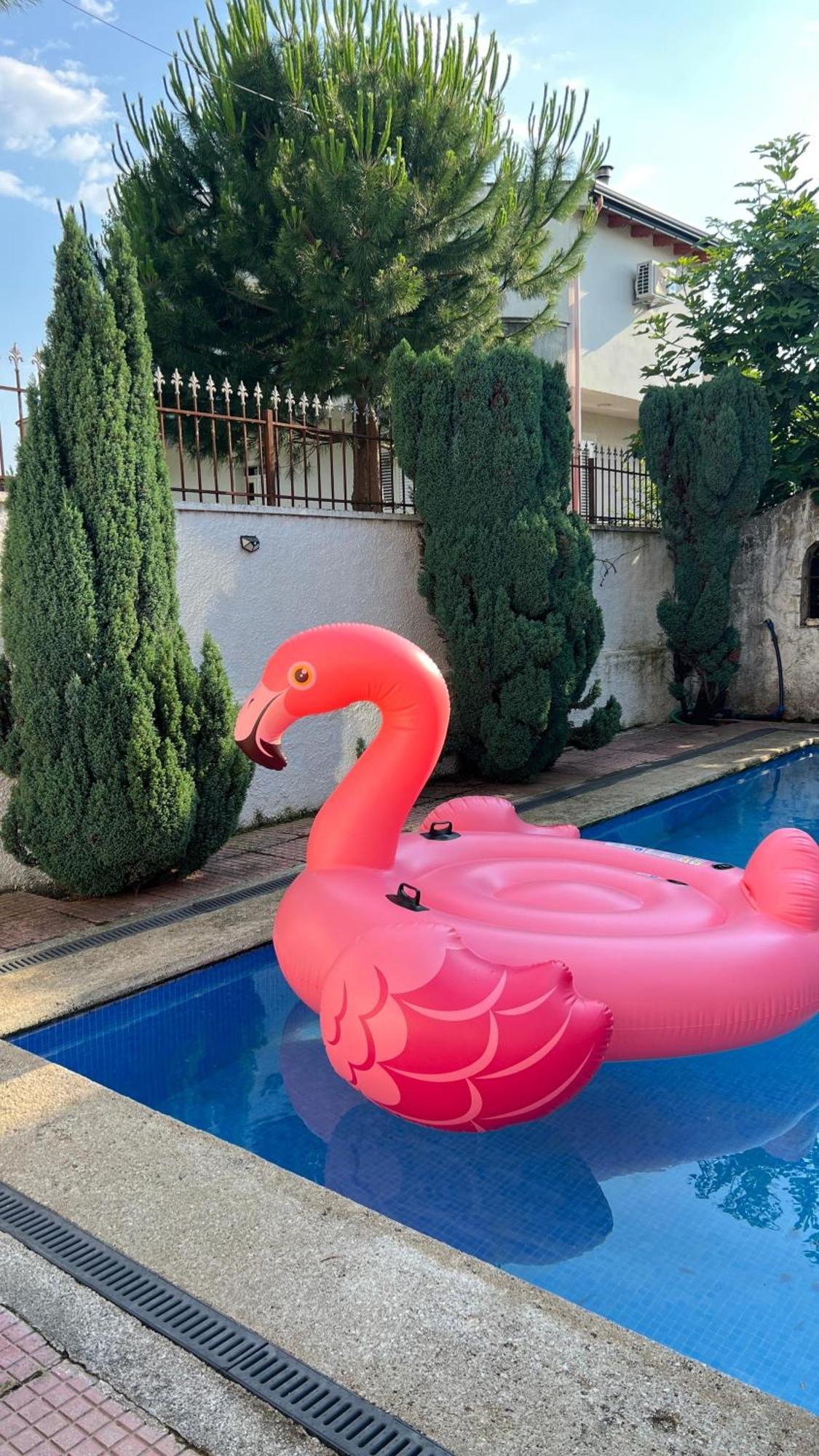 Cozy Little Holiday House شكودر المظهر الخارجي الصورة
