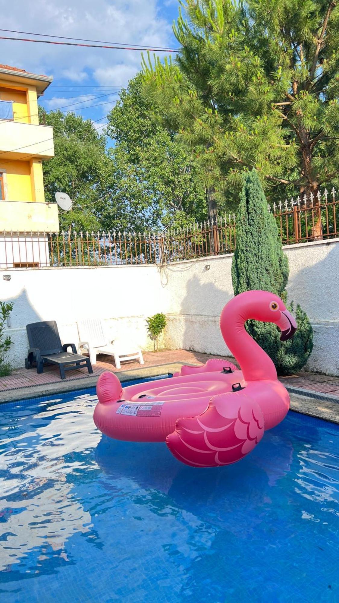 Cozy Little Holiday House شكودر المظهر الخارجي الصورة